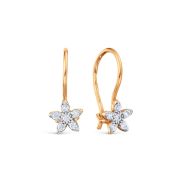 Earrings 14202B930