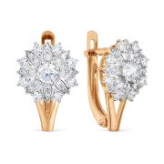 Earrings 147029910